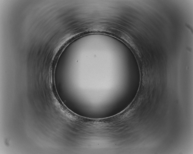 X0000102470984200808081246