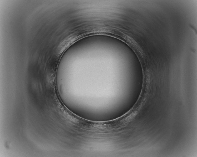 X0000102470985200808081246