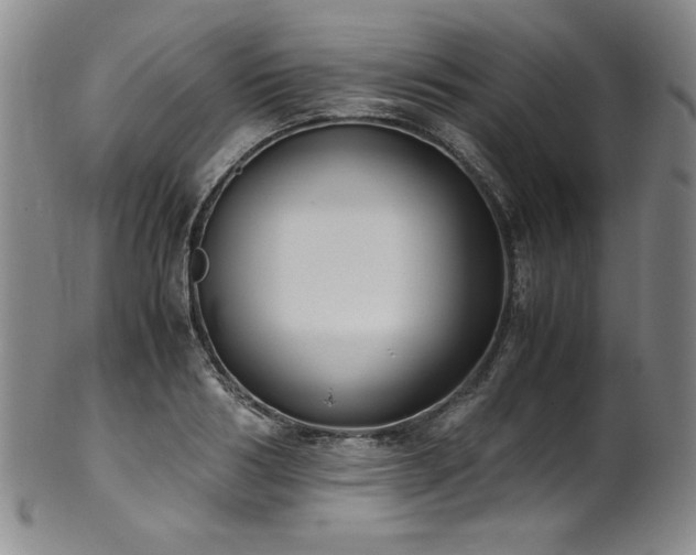 X0000102470986200808081246