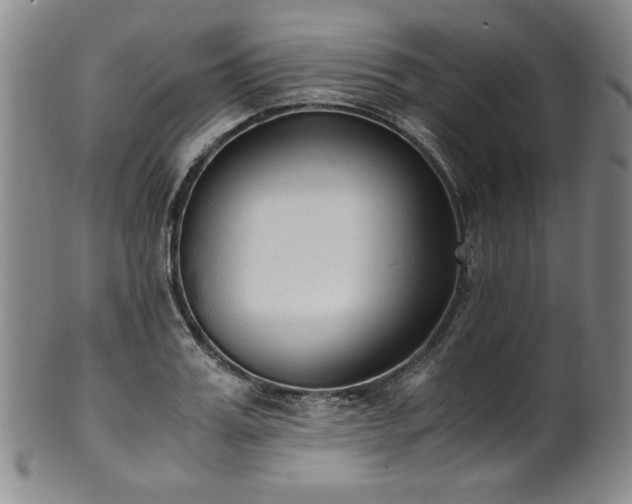 X0000102470987200808081246
