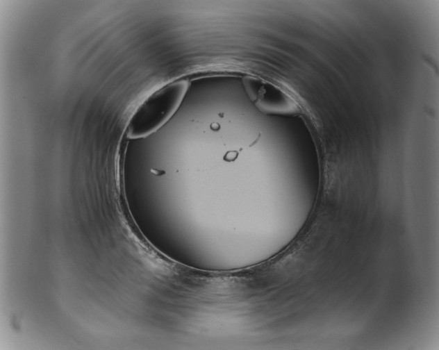 X0000102470988200808081246
