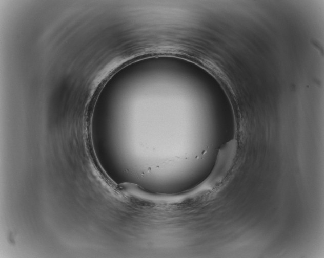 X0000102470989200808081246
