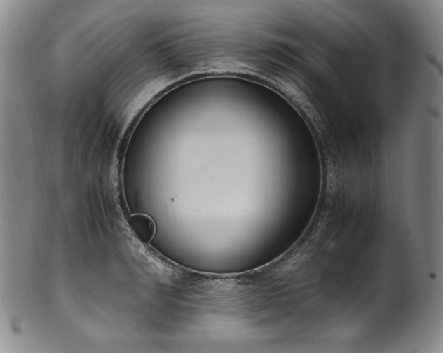X0000102470990200808081246