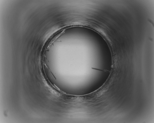 X0000102470991200808081246