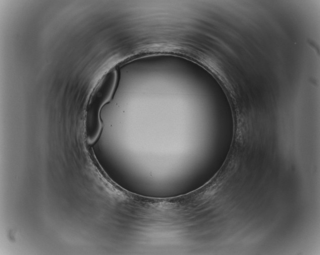 X0000102470992200808081246