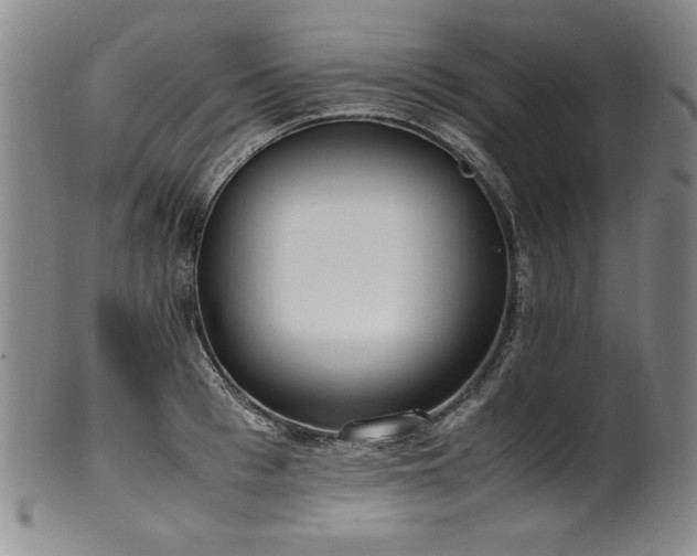 X0000102470993200808081246