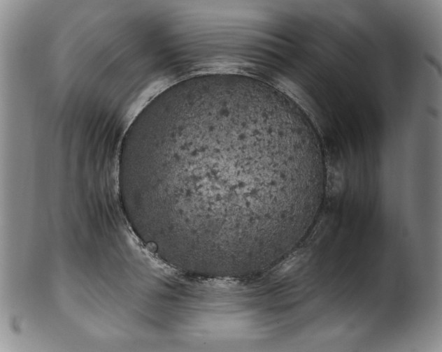 X0000102470994200808081246