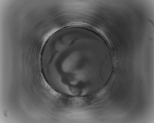X0000102470995200808081246
