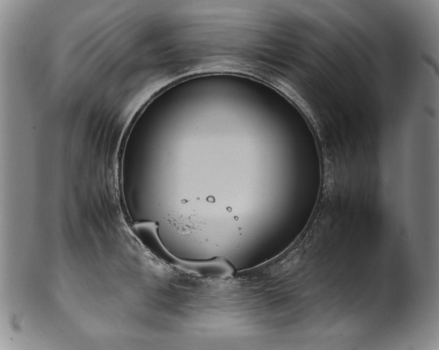 X0000102470996200808081246