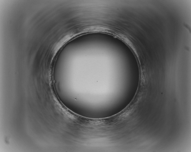 X0000102470997200808081246
