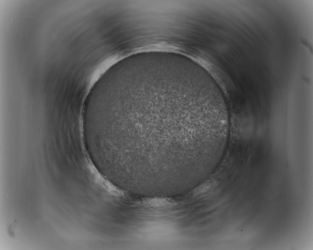 X0000102470998200808081246