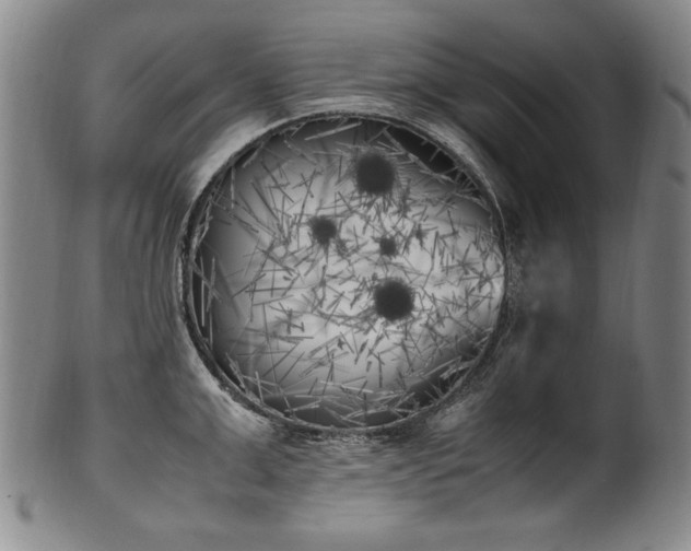 X0000102470999200808081246