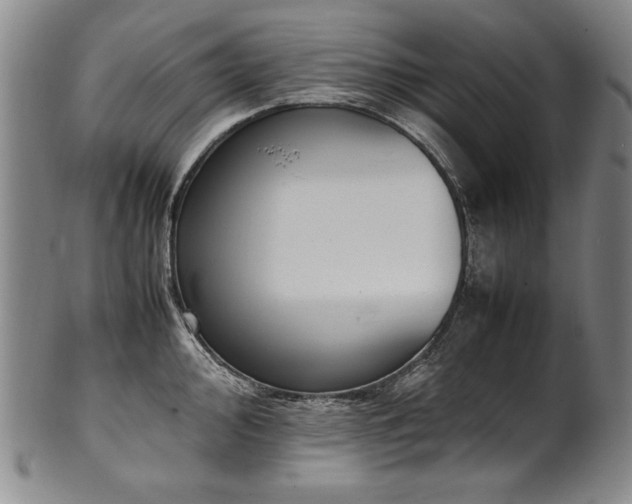 X0000102471000200808081246