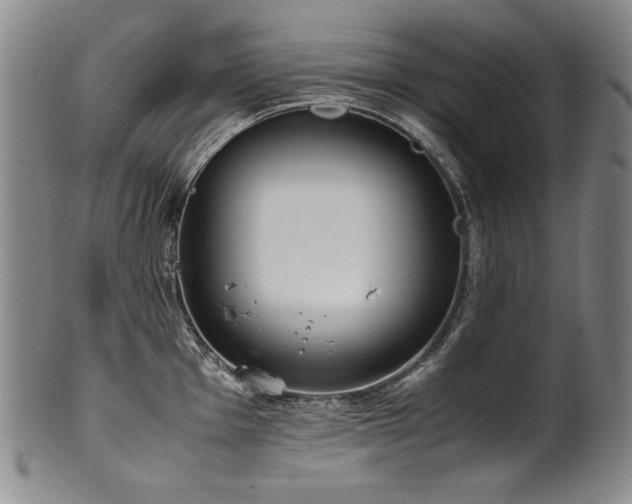 X0000102471001200808081246