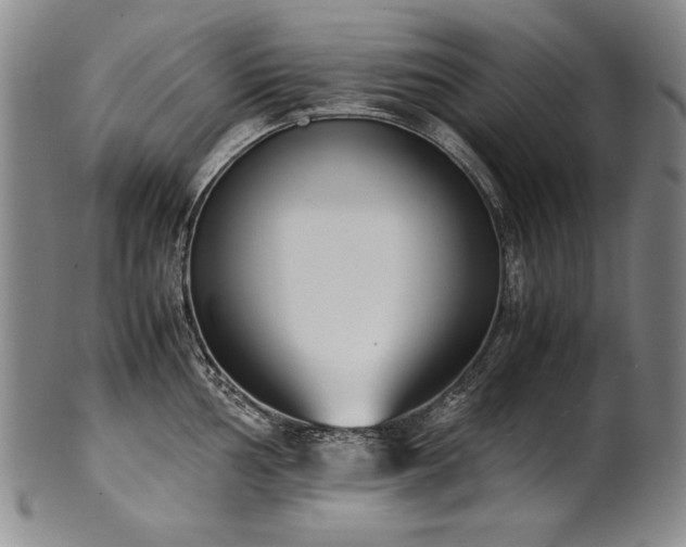 X0000102471002200808081246