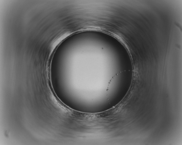 X0000102471003200808081246
