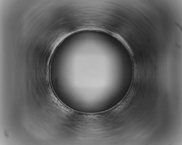 X0000102471004200808081246