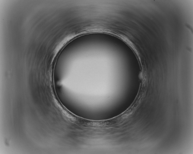 X0000102471005200808081246