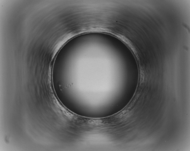 X0000102471006200808081246