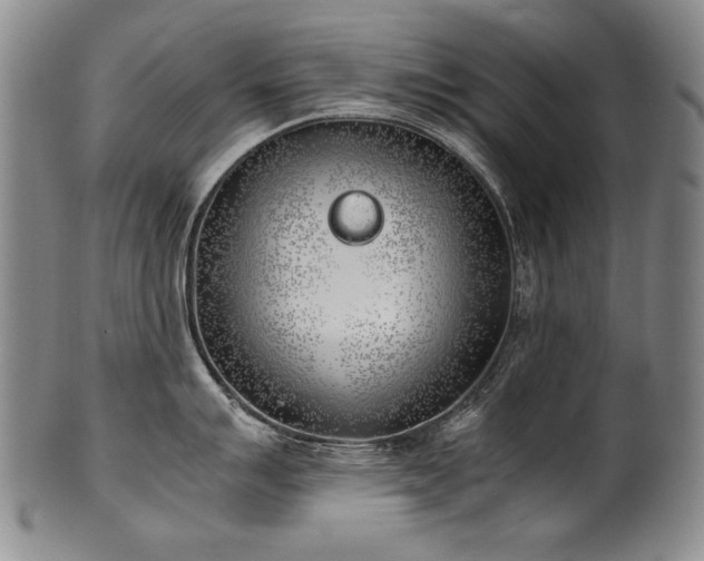 X0000102471007200808081246