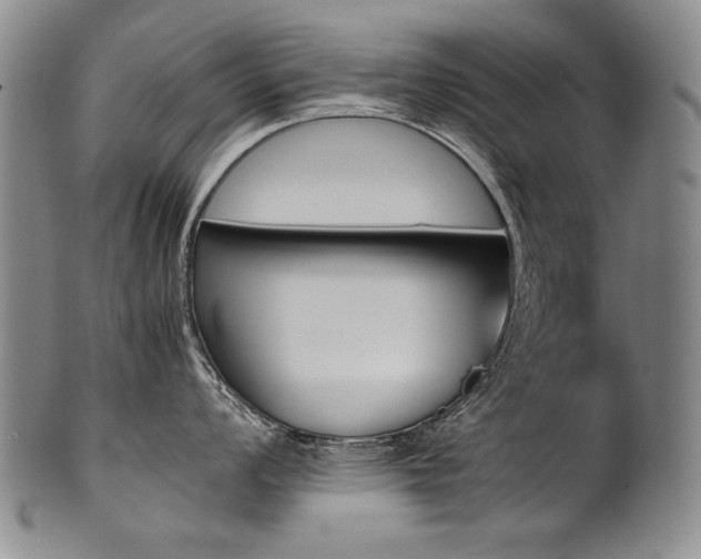 X0000102471008200808081246