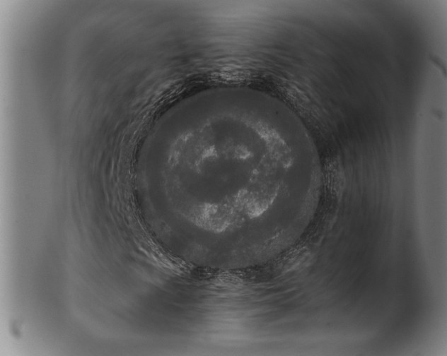 X0000102471009200808081245