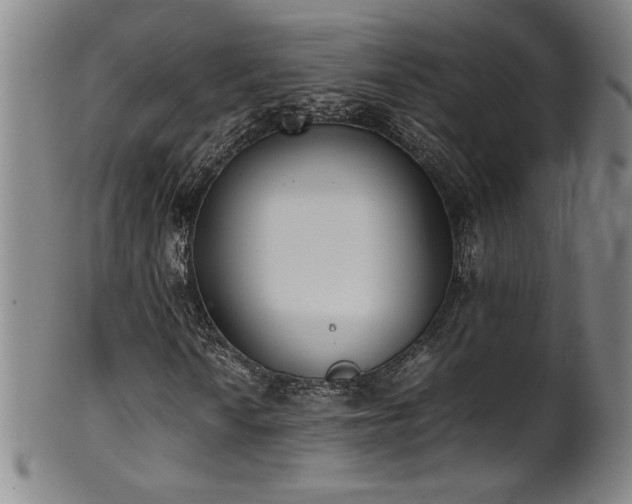 X0000102471010200808081245