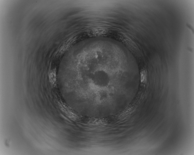 X0000102471011200808081245
