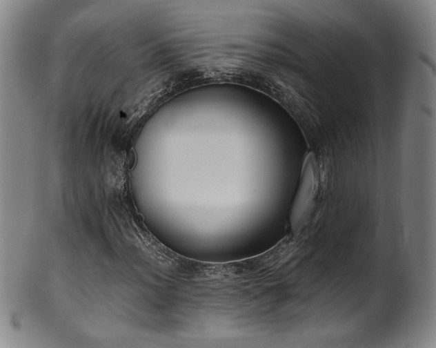 X0000102471012200808081245