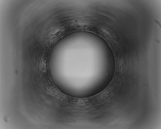 X0000102471013200808081245