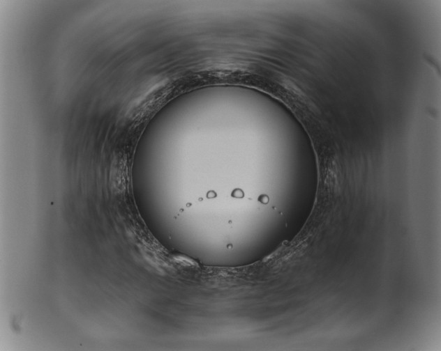 X0000102471014200808081245