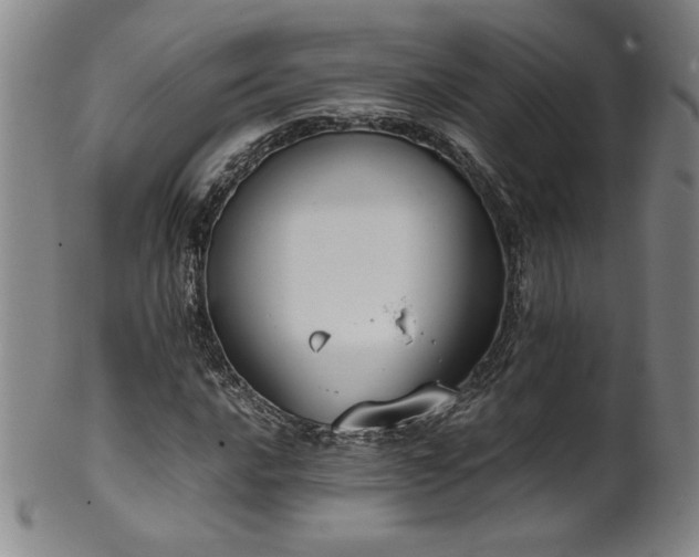 X0000102471016200808081245
