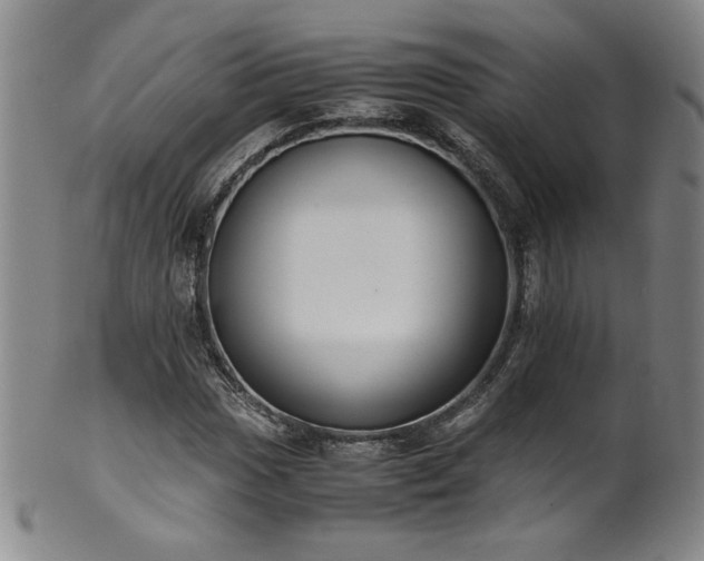 X0000102471017200808081245
