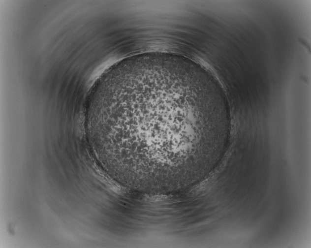 X0000102471019200808081245