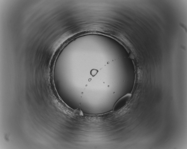 X0000102471020200808081245