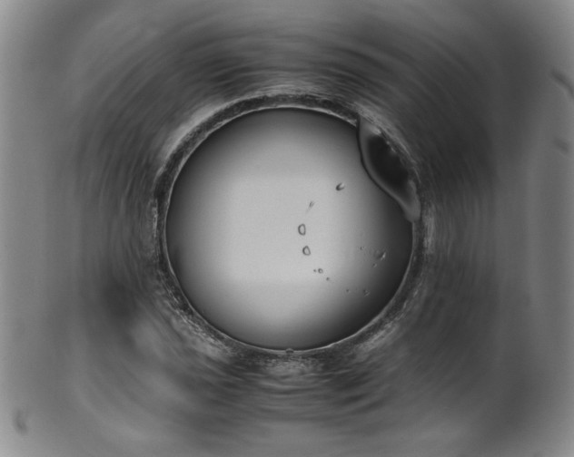 X0000102471021200808081245