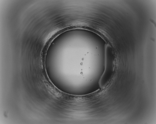 X0000102471022200808081245