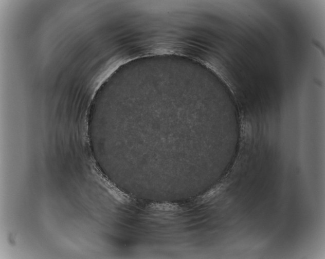 X0000102471023200808081245