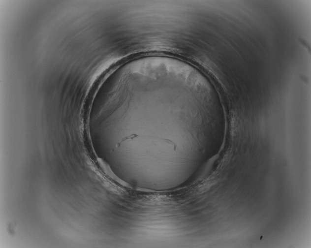 X0000102471024200808081245