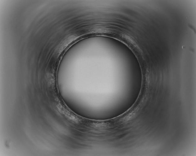 X0000102471025200808081245