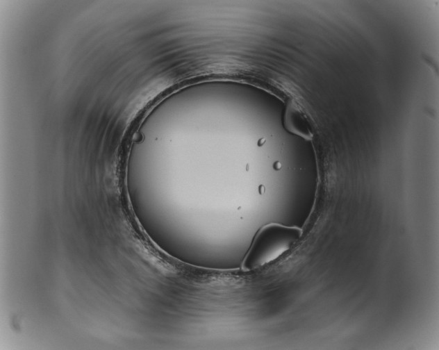 X0000102471026200808081245