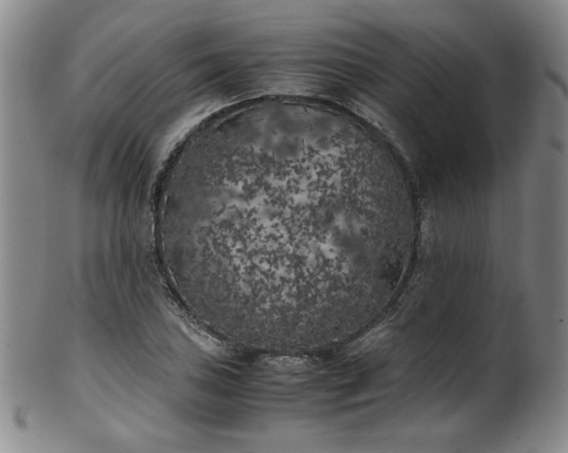 X0000102471027200808081245