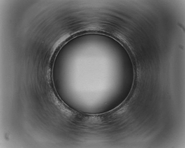 X0000102471029200808081245