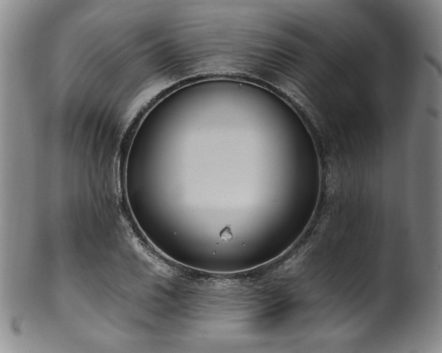 X0000102471030200808081245