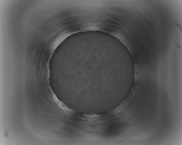 X0000102471031200808081245