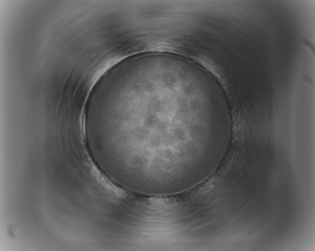 X0000102471032200808081245