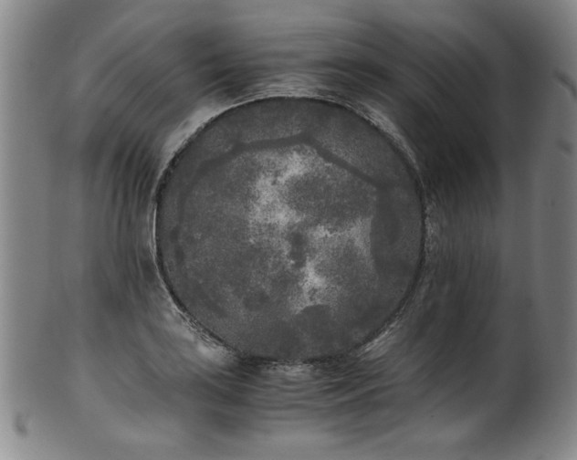 X0000102471035200808081245