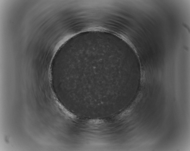 X0000102471037200808081245