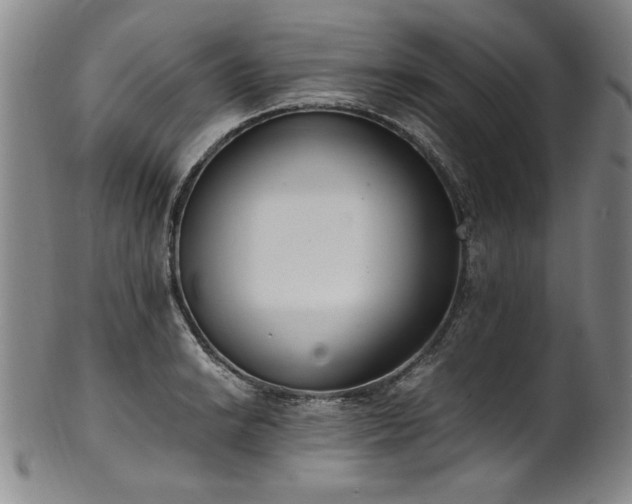 X0000102471038200808081246