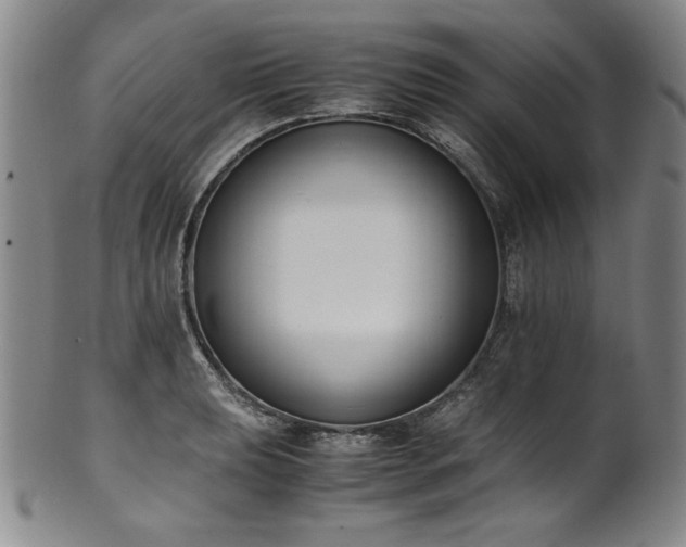 X0000102471039200808081246